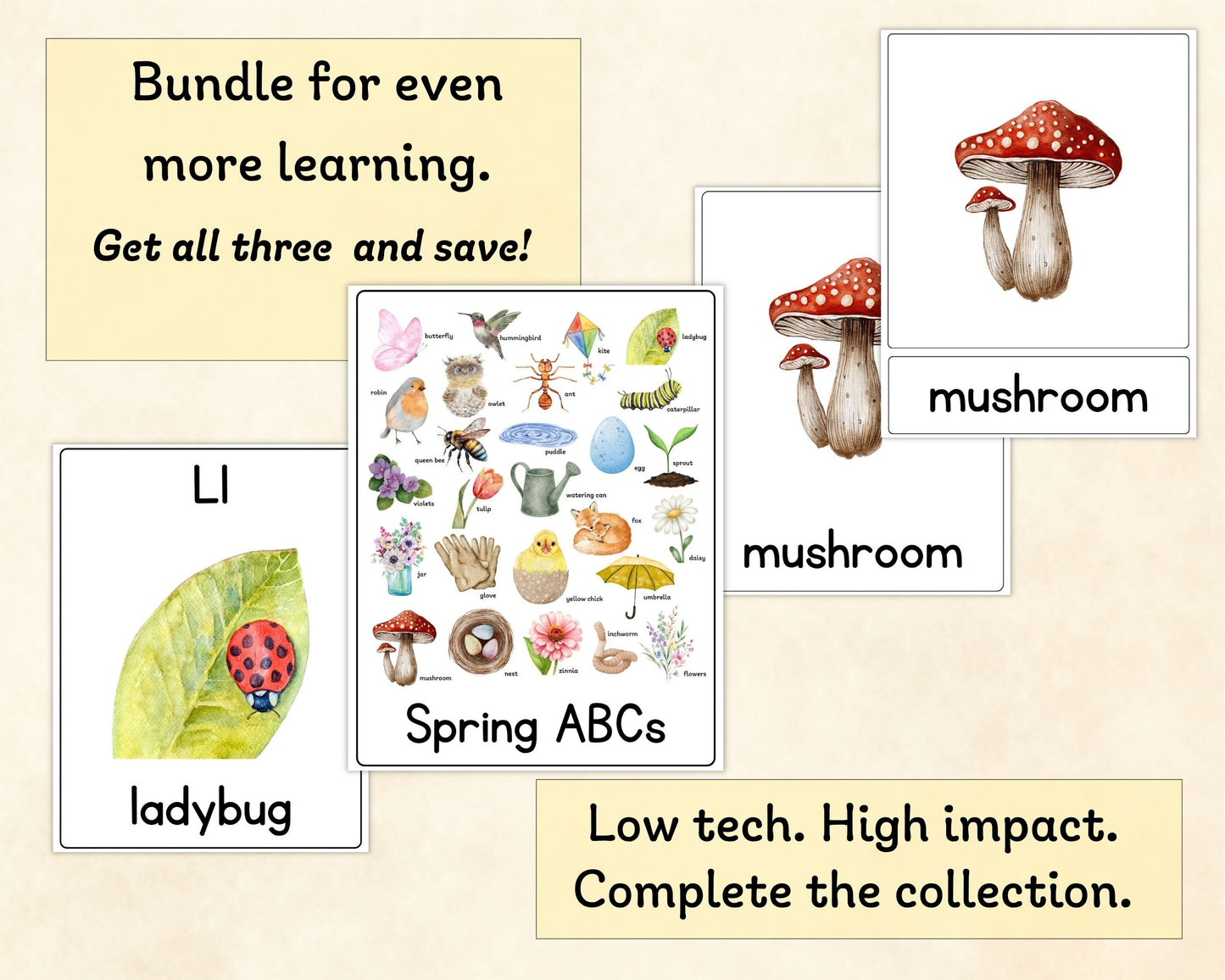 Spring Vocabulary Poster - Wonder's Journey