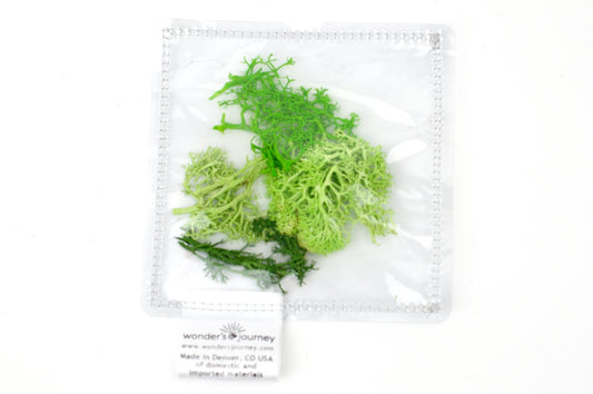 Clear sensory pouch with artificial moss - Wonder's Journey