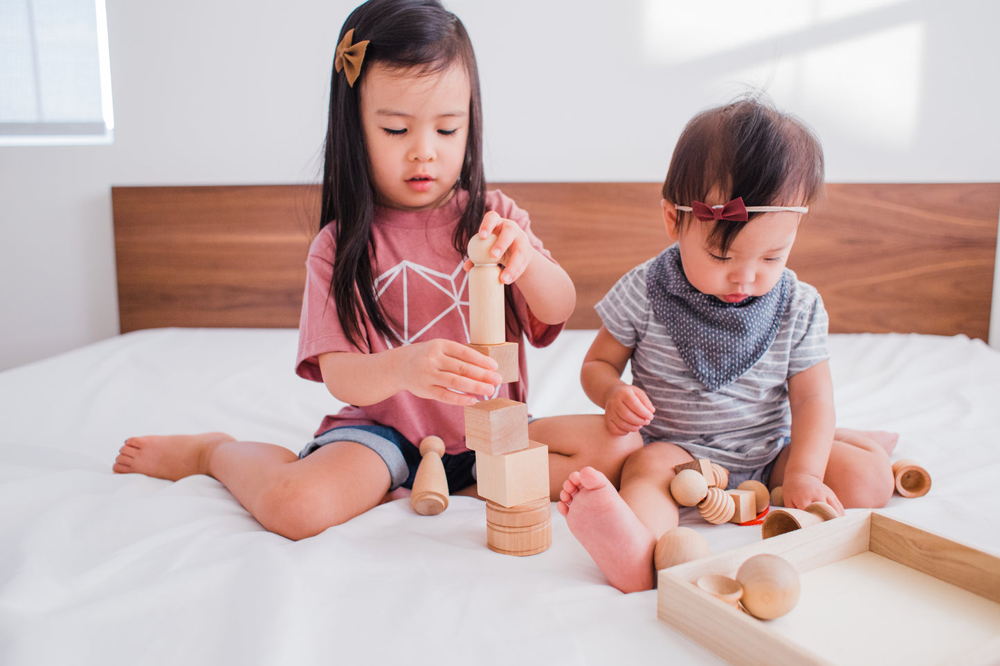 The Deluxe collection - Wonder's Journey