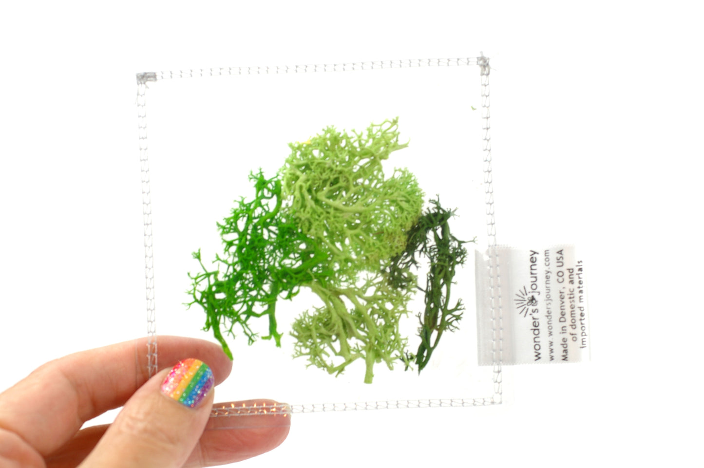 Clear sensory pouch with artificial moss - Wonder's Journey
