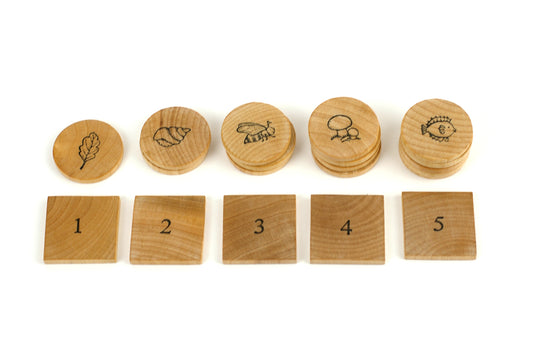 Counting set - Wonder's Journey