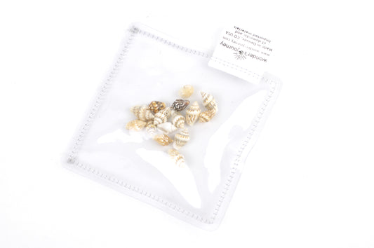 Clear sensory pouch with mini seashells - Wonder's Journey