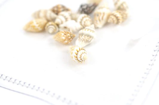 Clear sensory pouch with mini seashells - Wonder's Journey