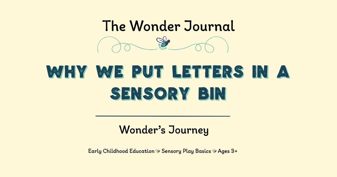 Why We Put Letters in a Sensory Bin