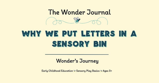 Why We Put Letters in a Sensory Bin