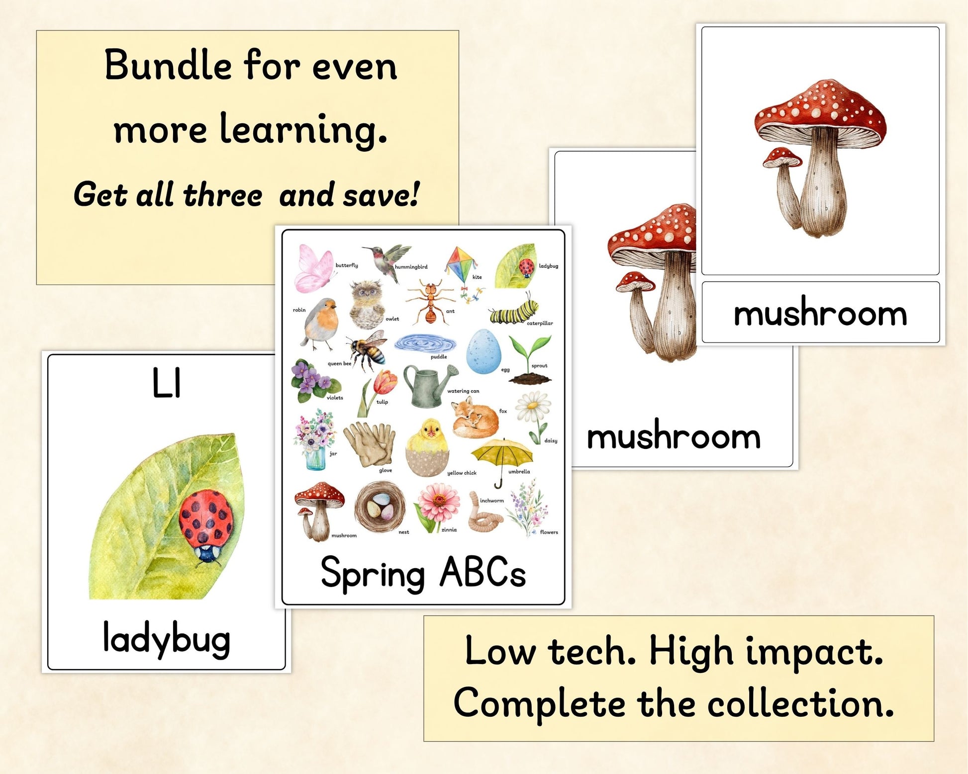 Spring Vocabulary Poster - Wonder's Journey