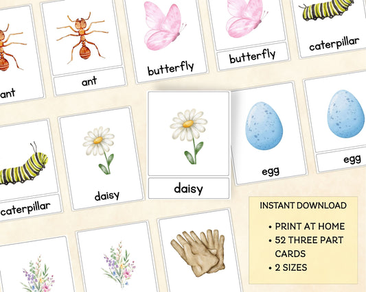 Spring Alphabet Three-Part Cards - Wonder's Journey