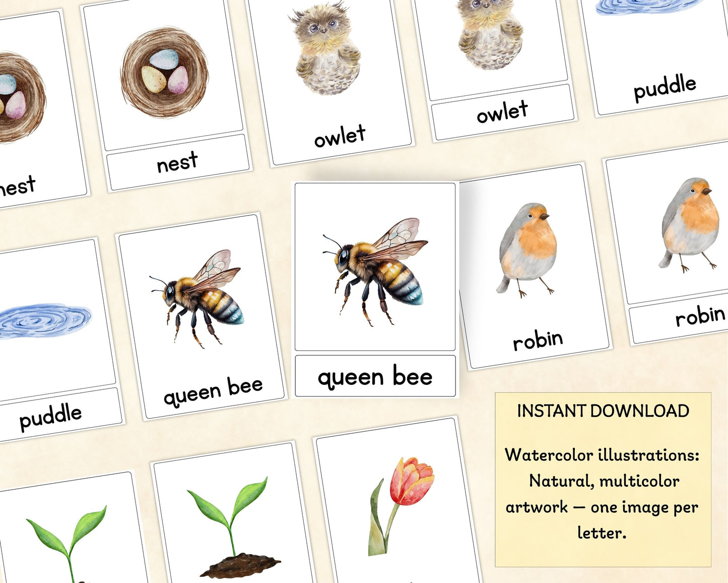 Spring Alphabet Three-Part Cards - Wonder's Journey