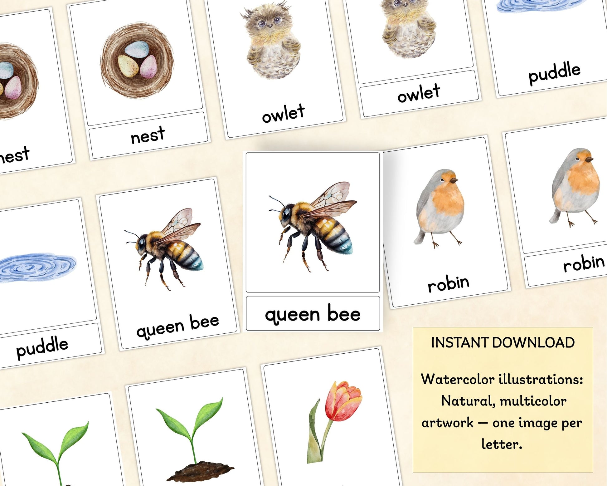 Spring Alphabet Three-Part Cards - Wonder's Journey