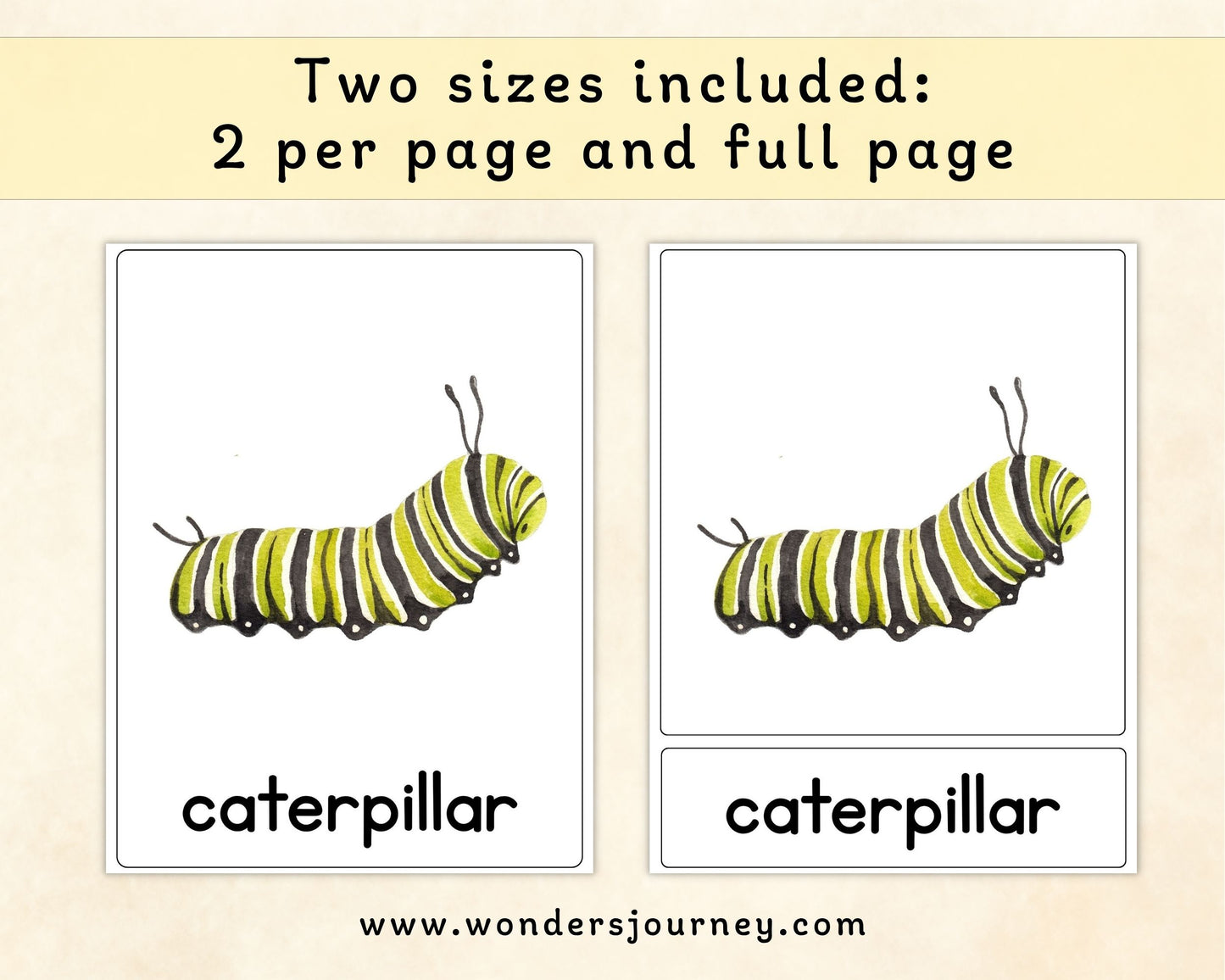 Spring Alphabet Three-Part Cards - Wonder's Journey