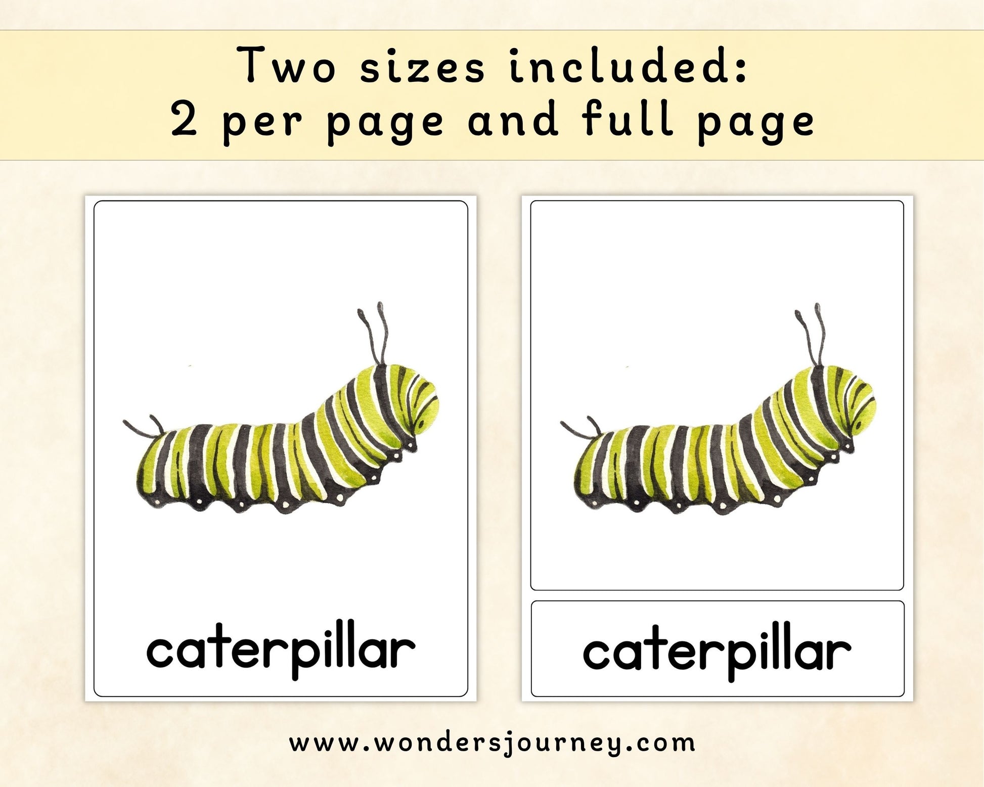 Spring Alphabet Three-Part Cards - Wonder's Journey