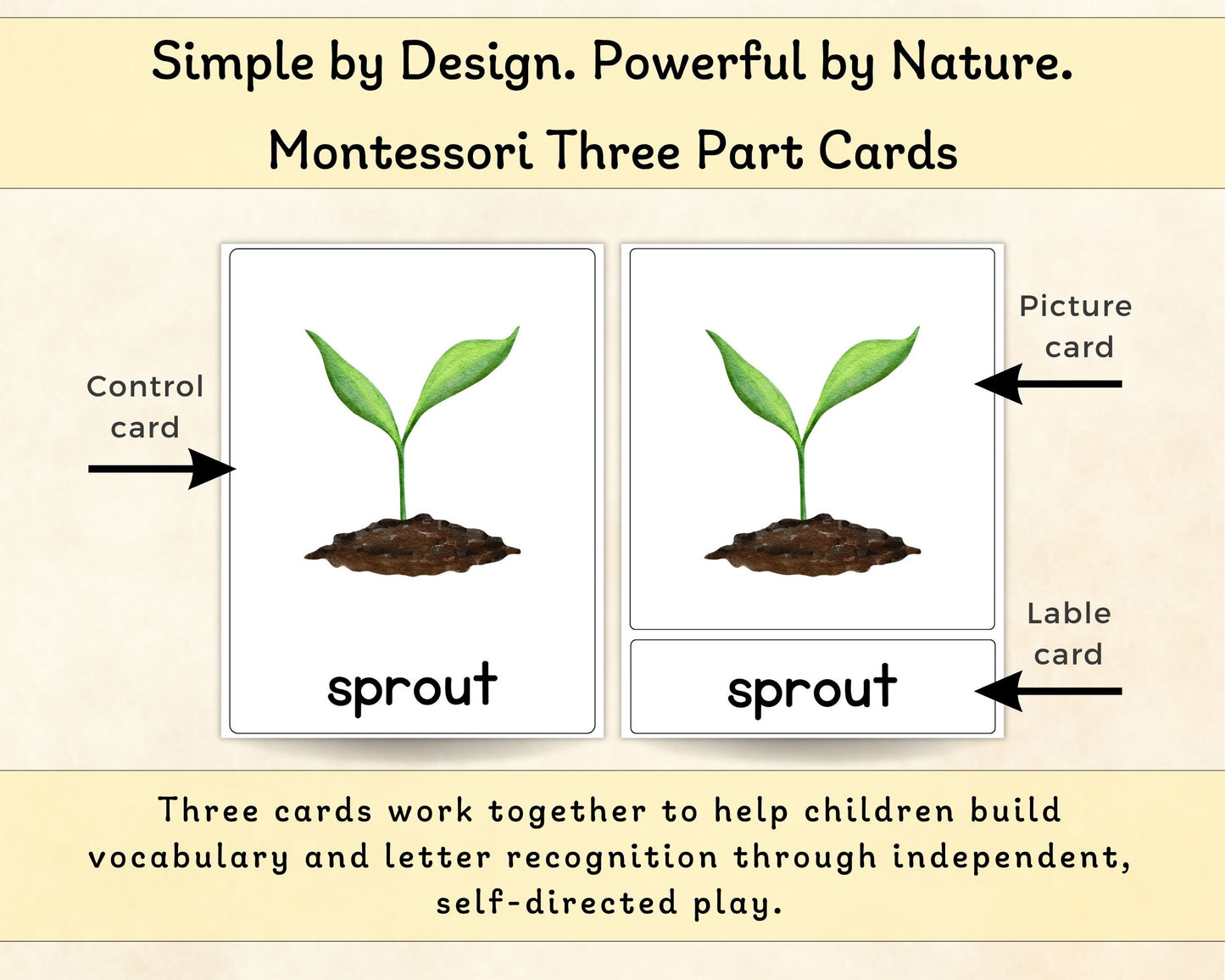 Spring Alphabet Three-Part Cards - Wonder's Journey