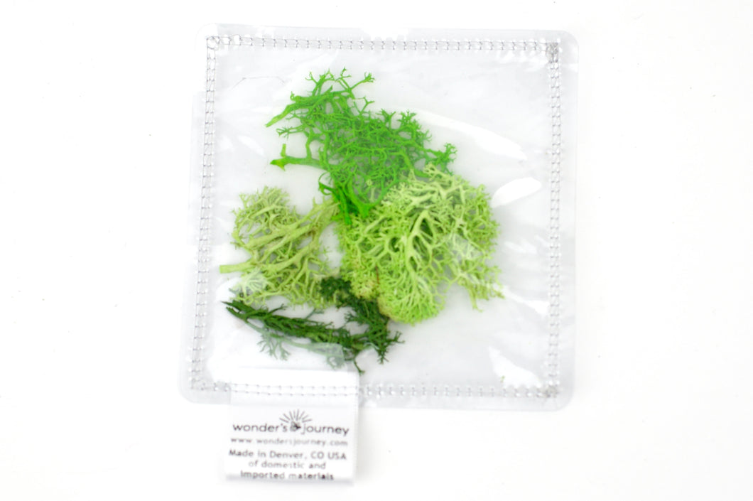 Clear sensory pouch with artificial moss - Wonder's Journey