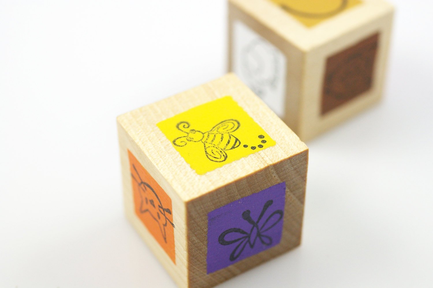 Color and language cubes - Wonder's Journey