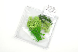 Clear sensory pouch with artificial moss - Wonder's Journey
